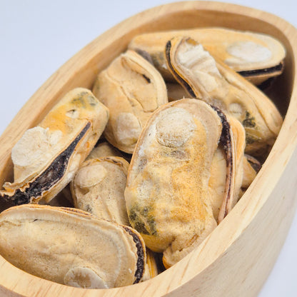 New Zealand Green-Lipped Mussels